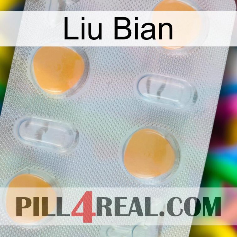 Liu Bian 24